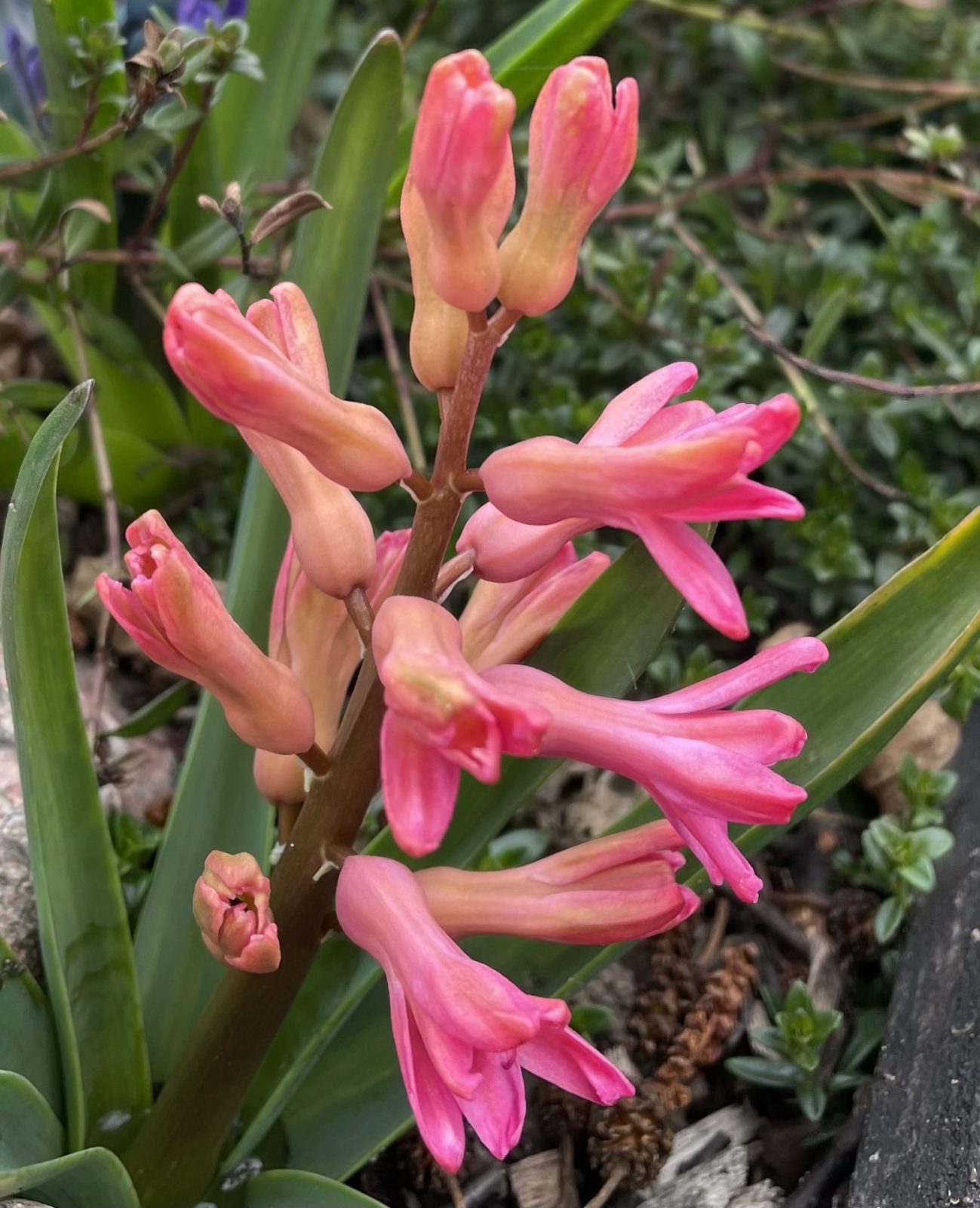 1D4D04E3-615C-4DEB-A22F-CEFFC20AB724