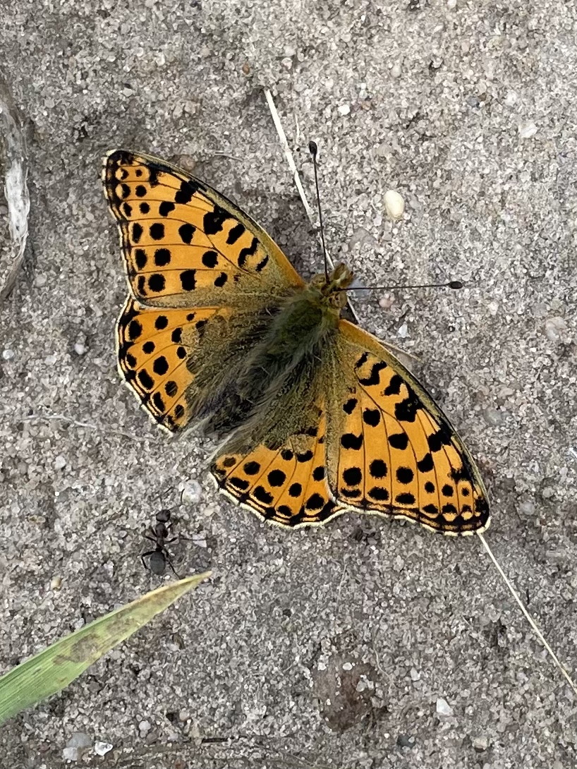 1D5C4290-A15E-40E9-BF9C-A10A39D4F642