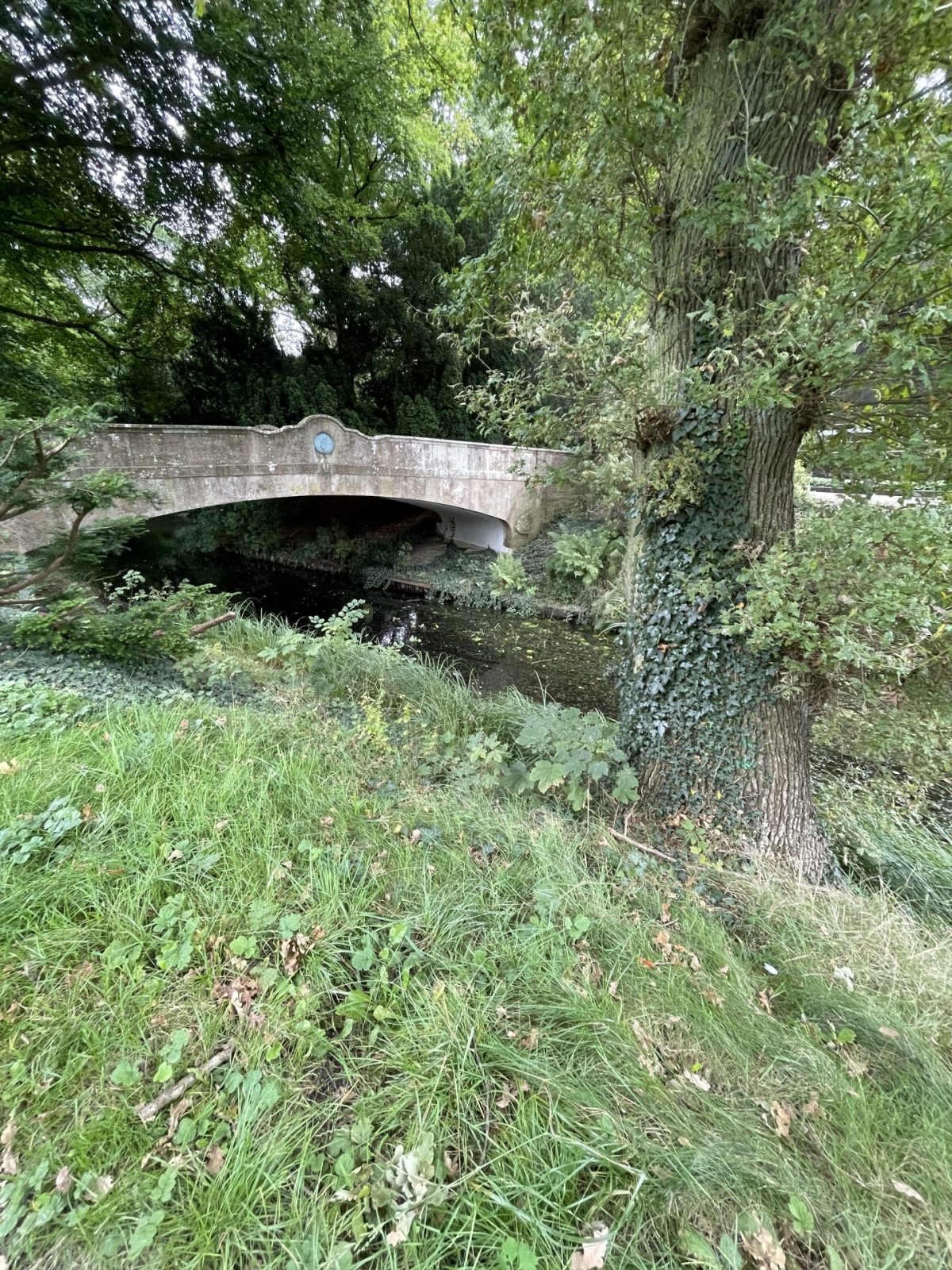 1D9B6210-929B-4AA6-988B-B11A7CF05C9A