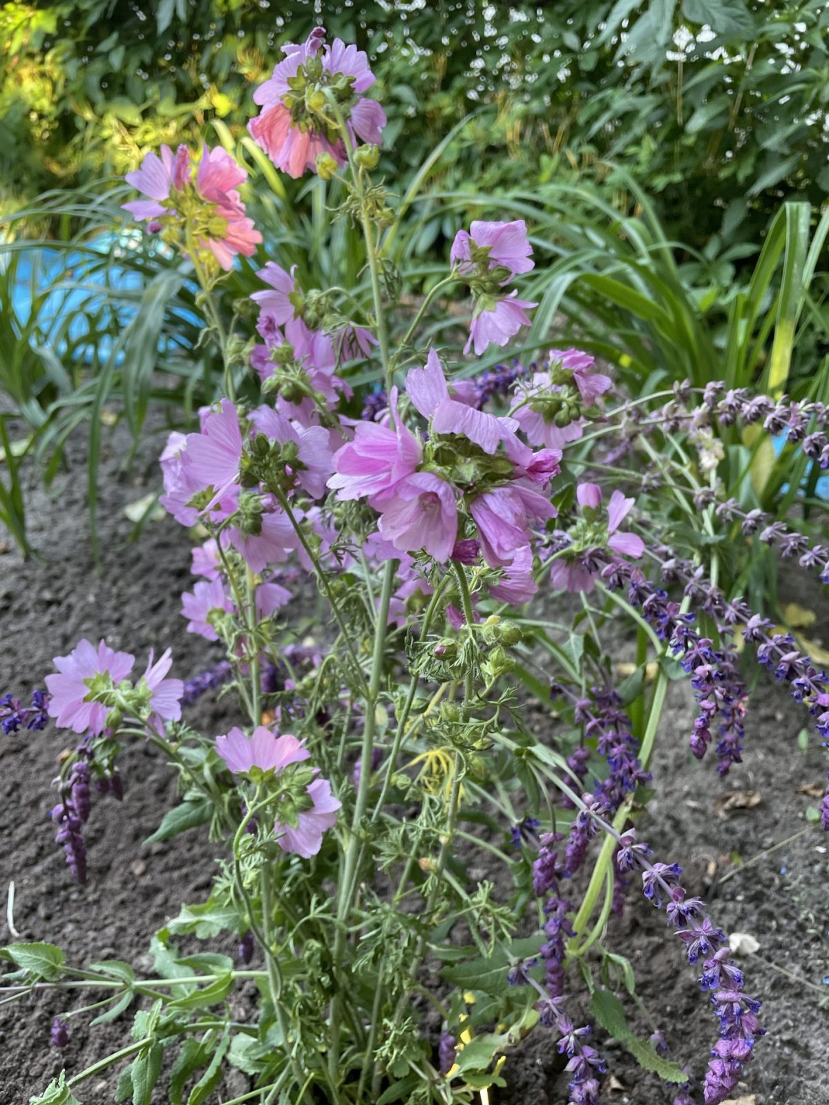 1DBAD9C2-3CD8-4FE6-AC32-F9CCB09ECC7C