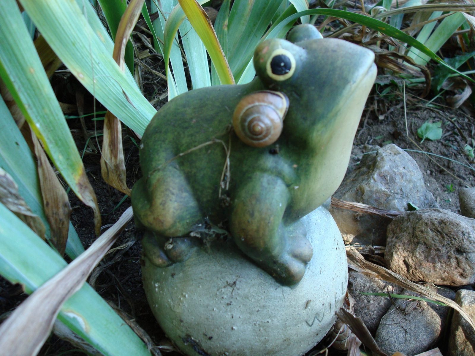 1E09A7BB-7343-4DB1-B3E0-4A5FC88F4E37