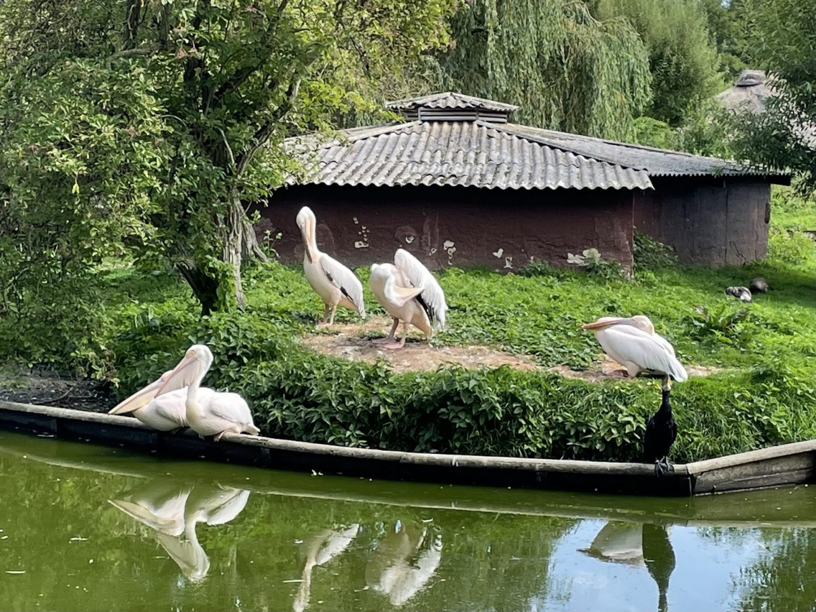 1E6F0B11-B75D-48EF-A285-C72BA91FDABA