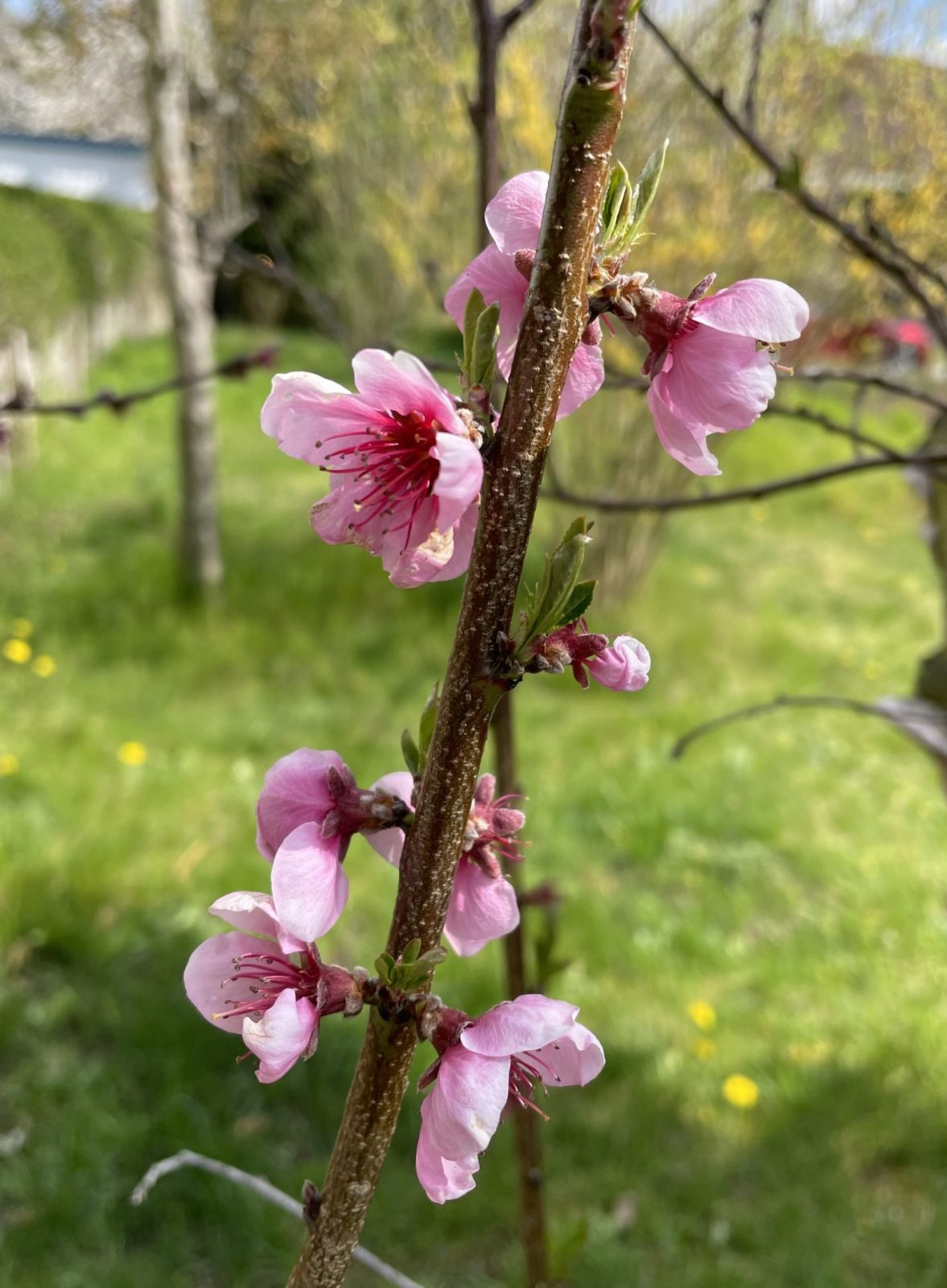 1E799F33-C1D7-4200-99DF-56EFB9CB95E7