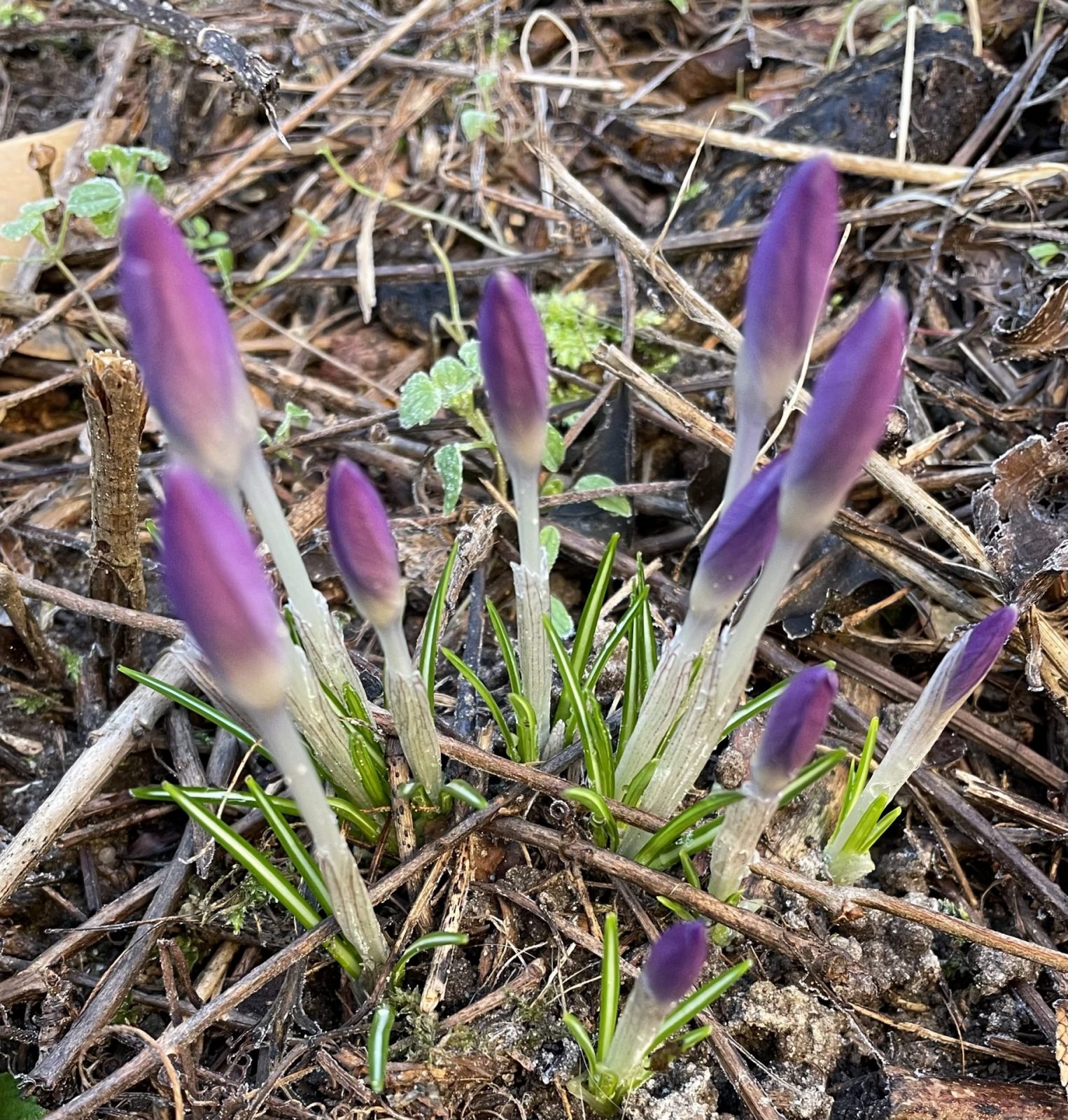 1E9F7CF3-FD2C-4477-8535-B41547C2A087