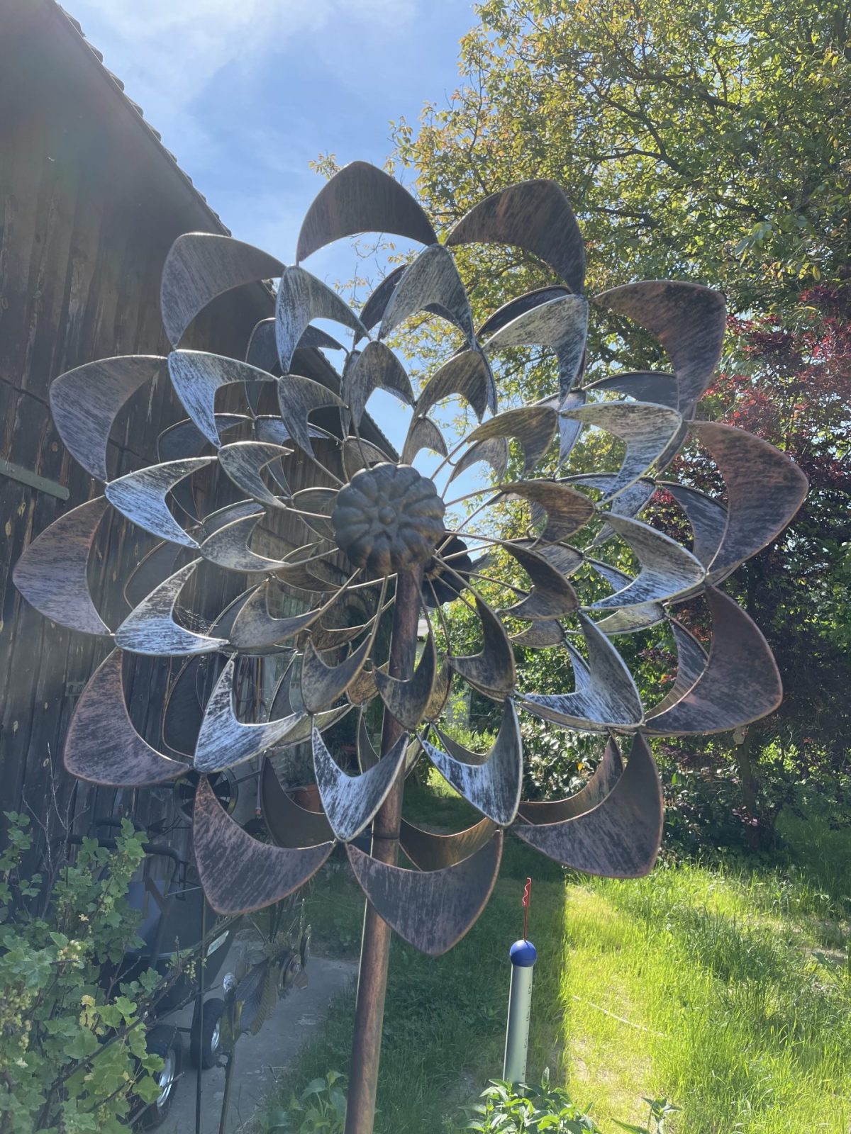 1EB608C3-F559-4566-8EFE-D5FE7831F07A