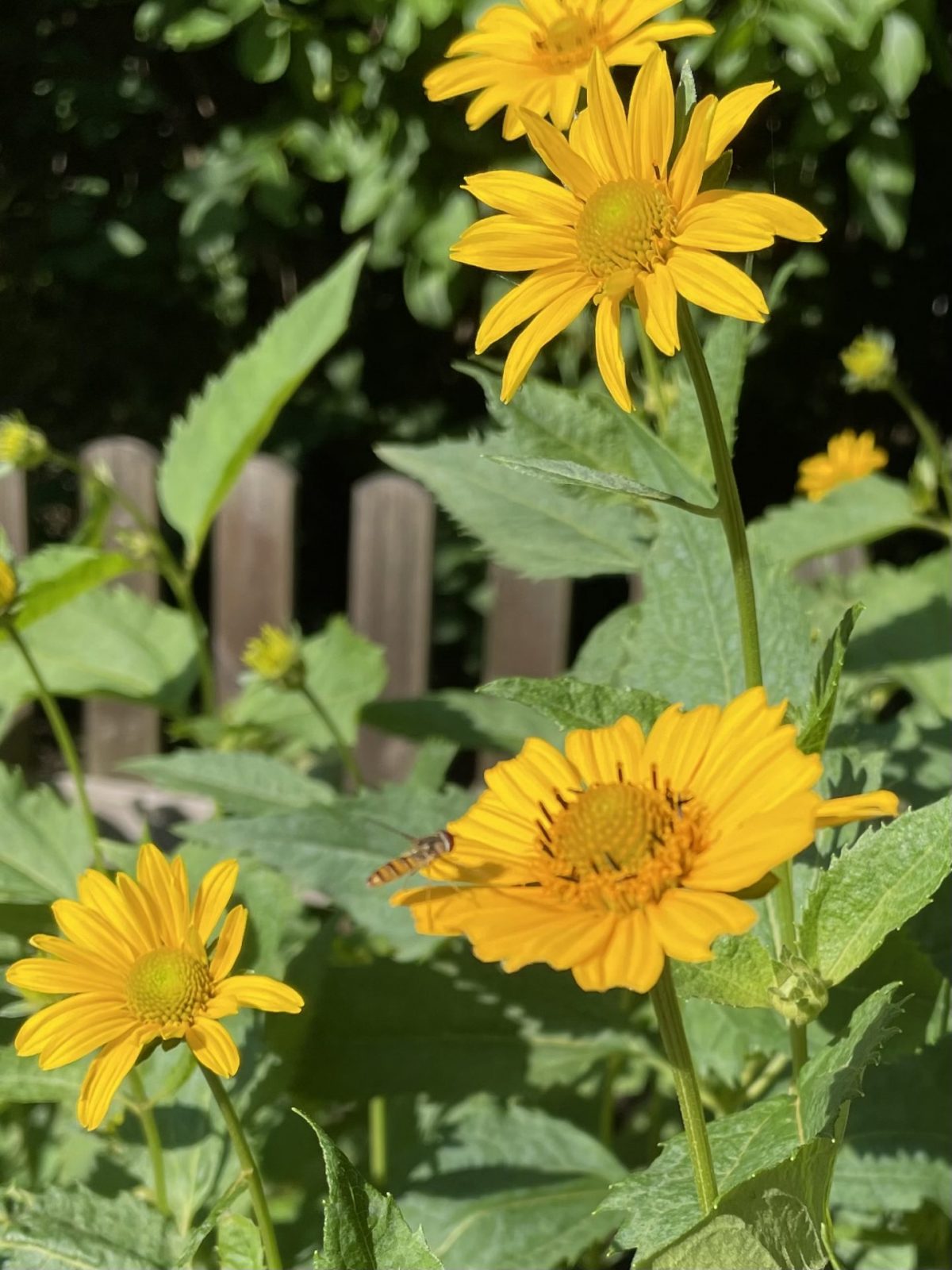 1EEC4BA0-72C4-43F0-84F7-C386E534818E