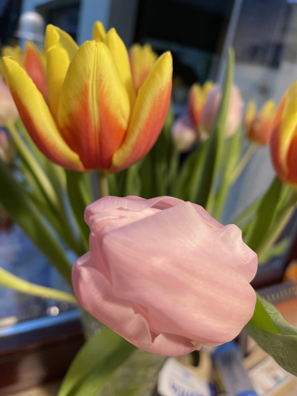 1F182E57-679B-412F-86AD-7AA179736241