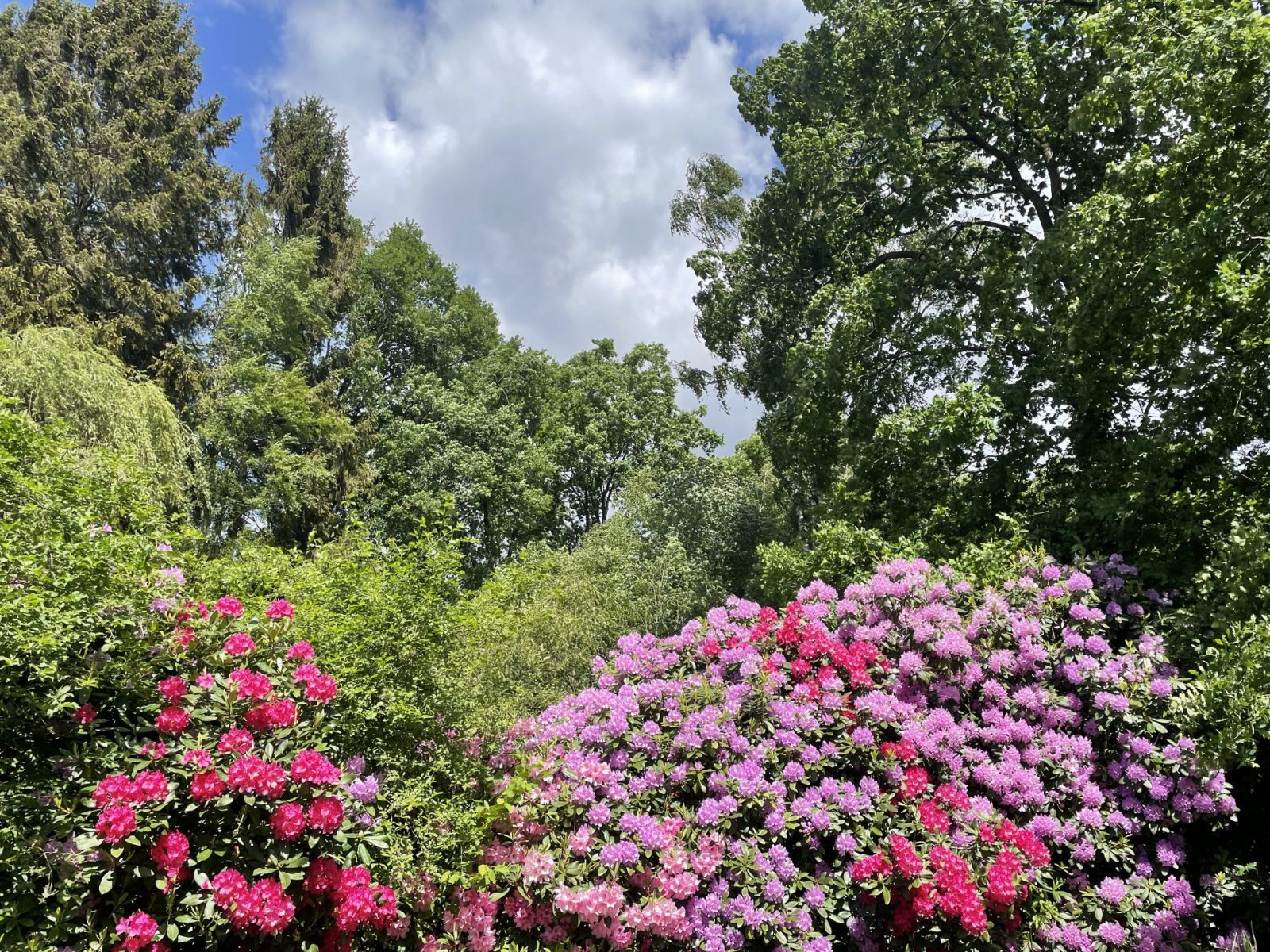 1F8CB0F6-5C2A-4A81-9FC0-F5BB5E3B533B