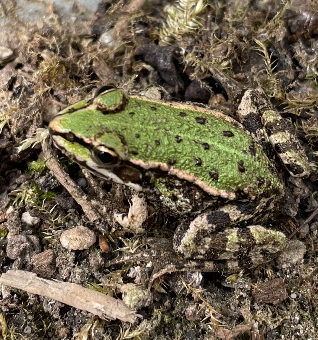 1FDE8BB9-0E1B-4529-8977-C7DDBD5974A1