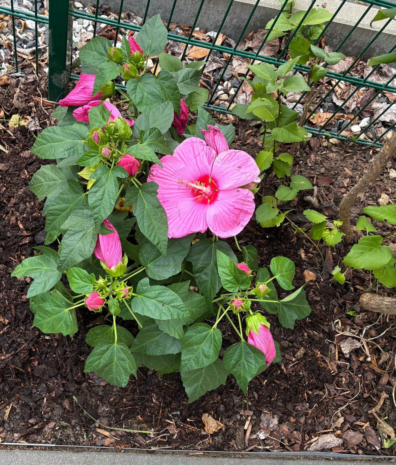 1b1c8643-a131-4a4a-9234-bc5e41c9d2f6