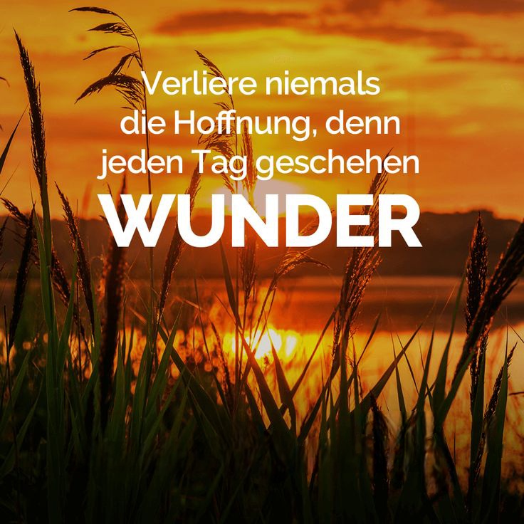 1be97c0770bccd1a493d3ff598ef2925