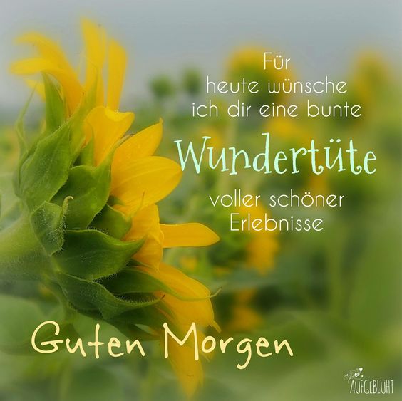 1cc7ec0d-62aa-409a-9ec3-ae440bacba96