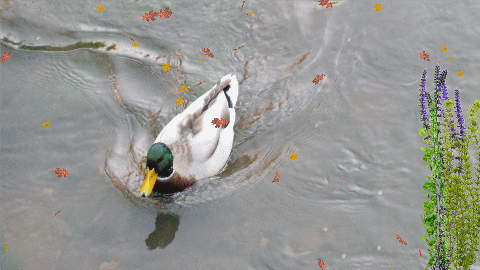 1d6fb19df682bc6924eb99e80a5cce6d