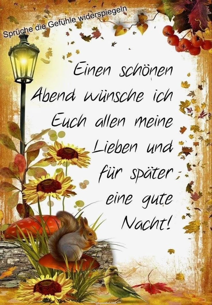 1e489dbe757882fd325cc9f508d4f3e5