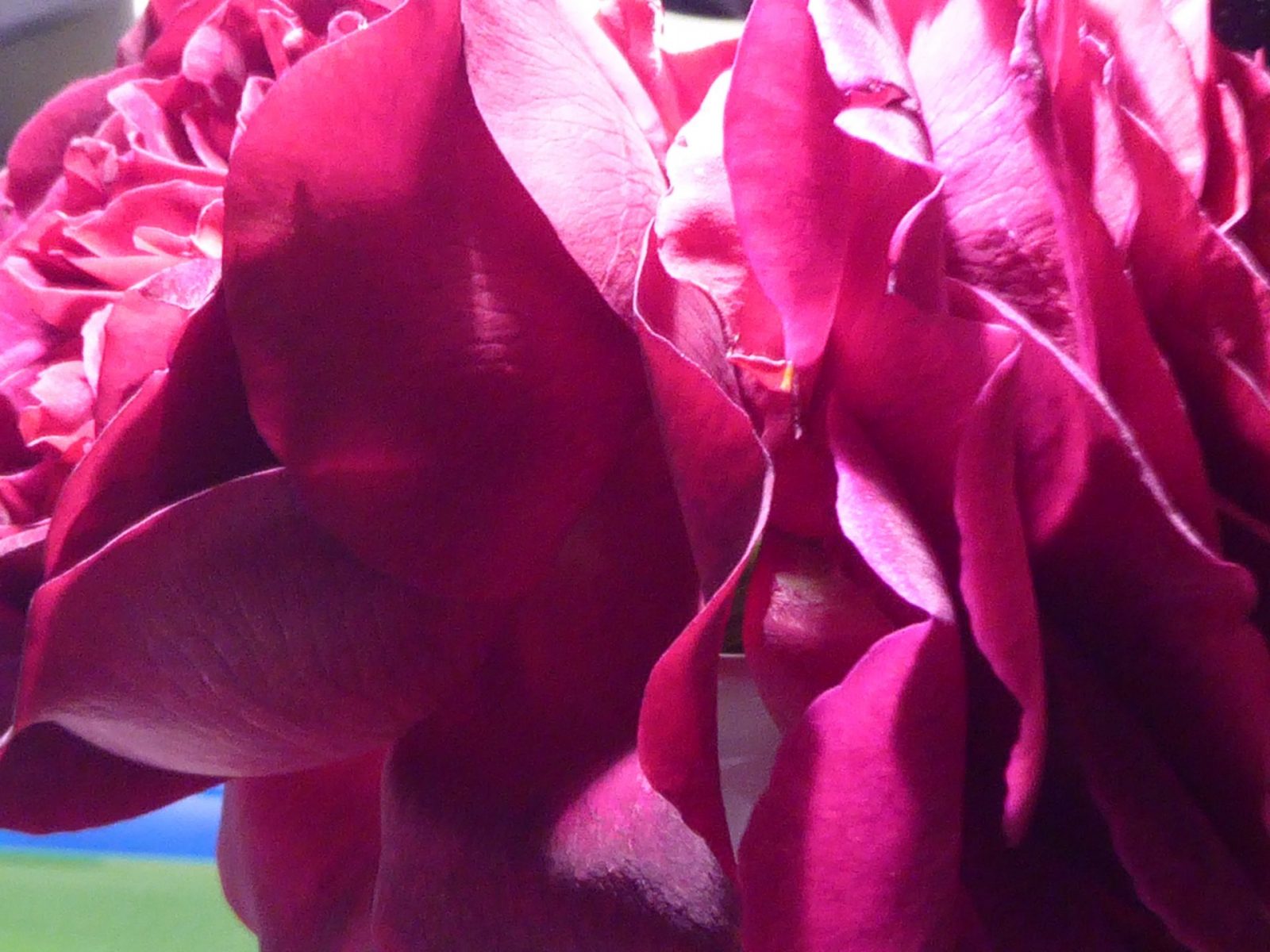 2.10.2021 Geburtstag (168)