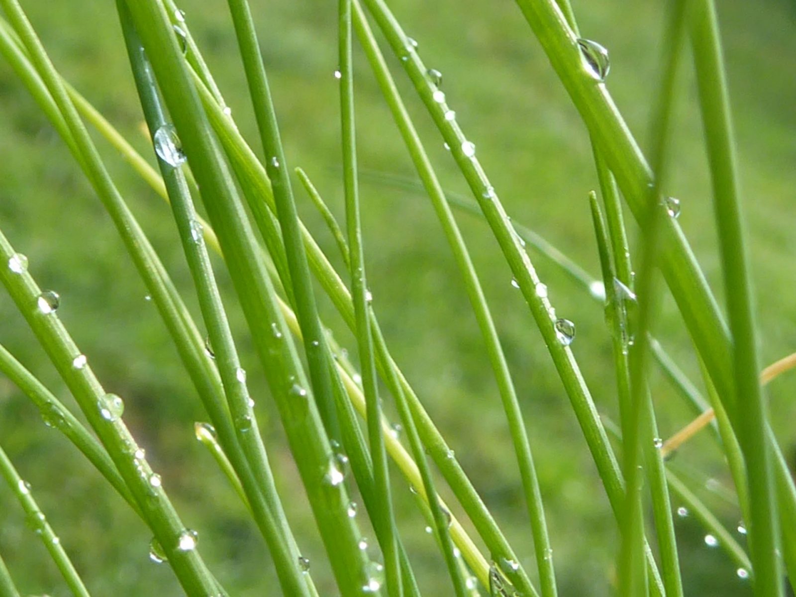 20.8.2022 Samstag (122)