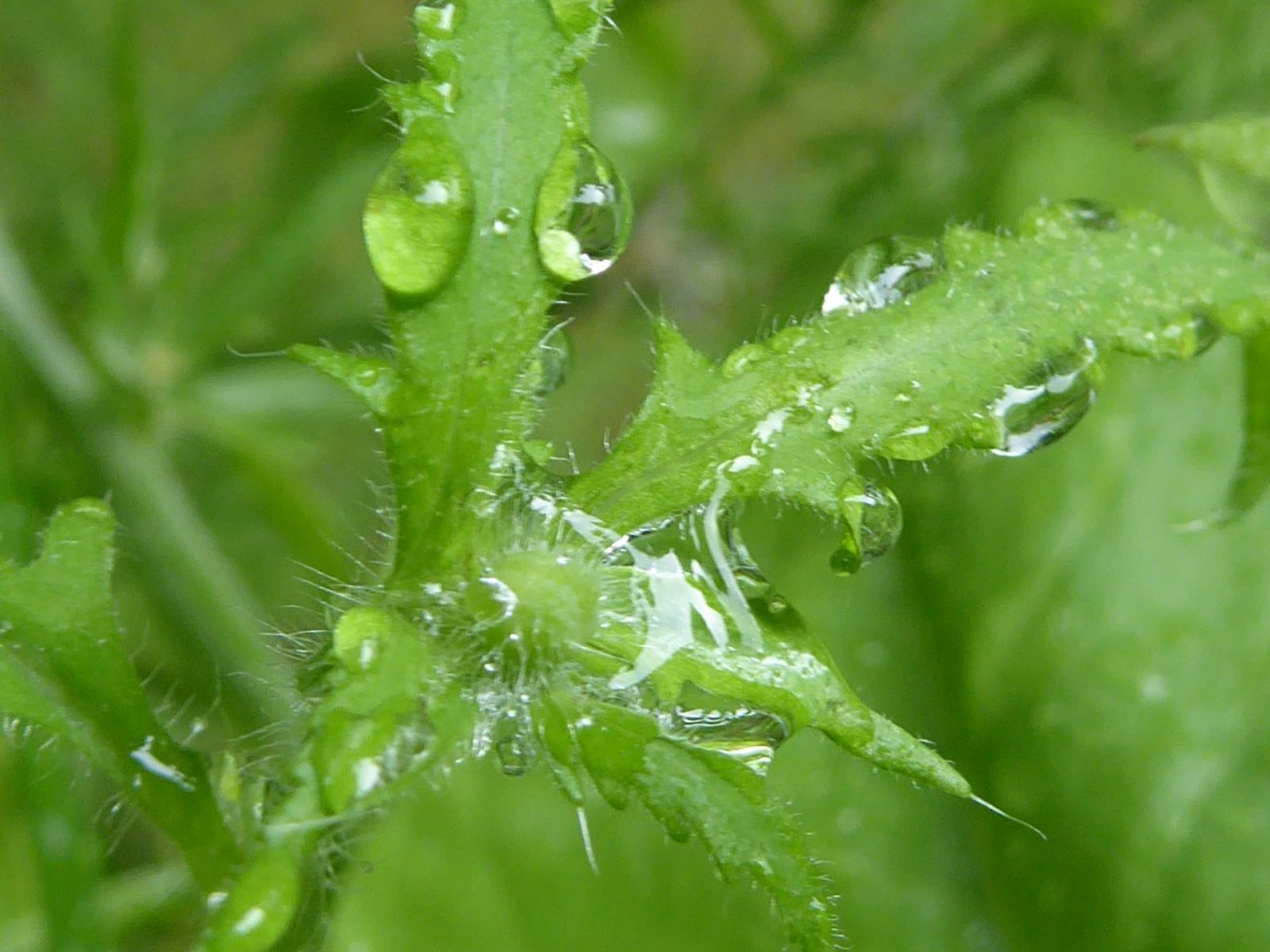 20.8.2022 Samstag (19)