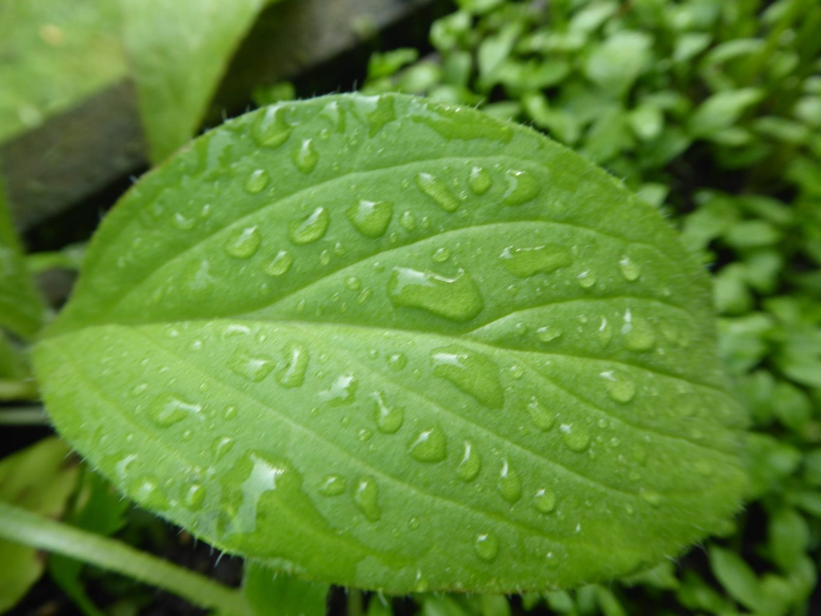 20.8.2022 Samstag (6)