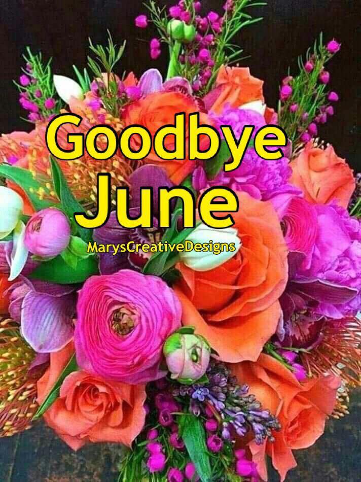 200202407_2945079619063169_1434941513258043465_n (1)