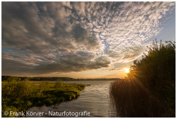 20054897_901_header-1