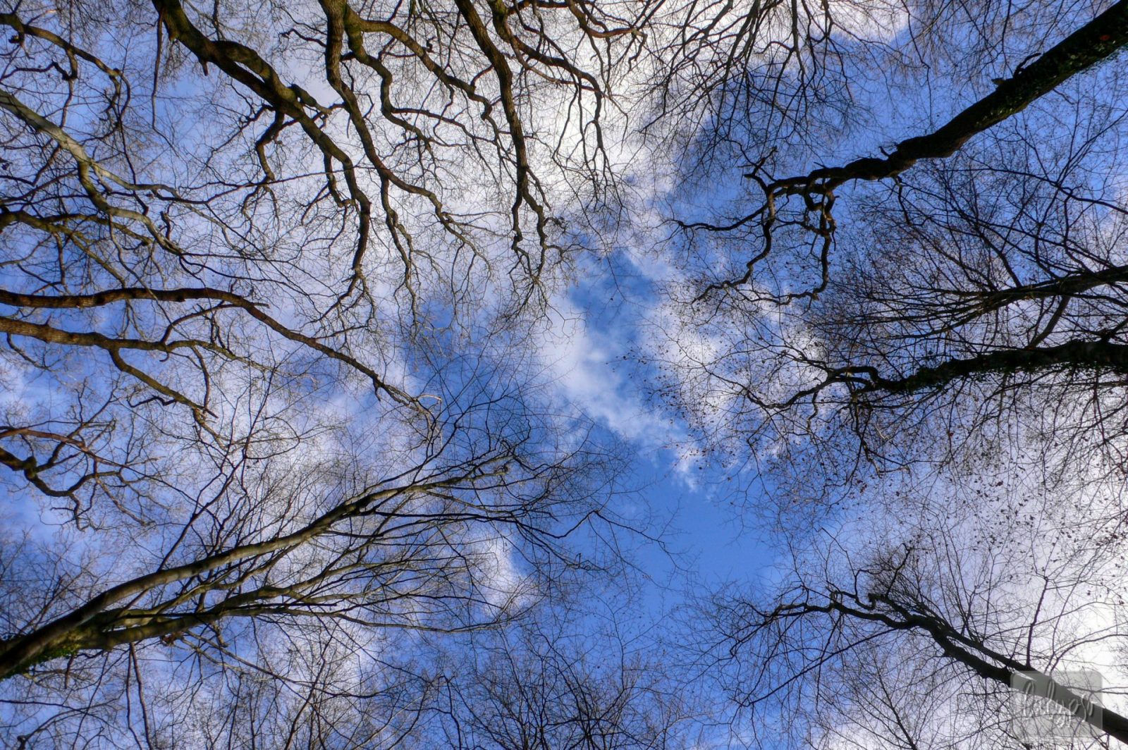 2007_Ausfluege_00006c