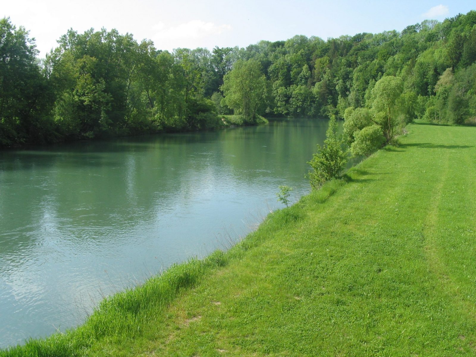 2008-23.Mai, Illeraue