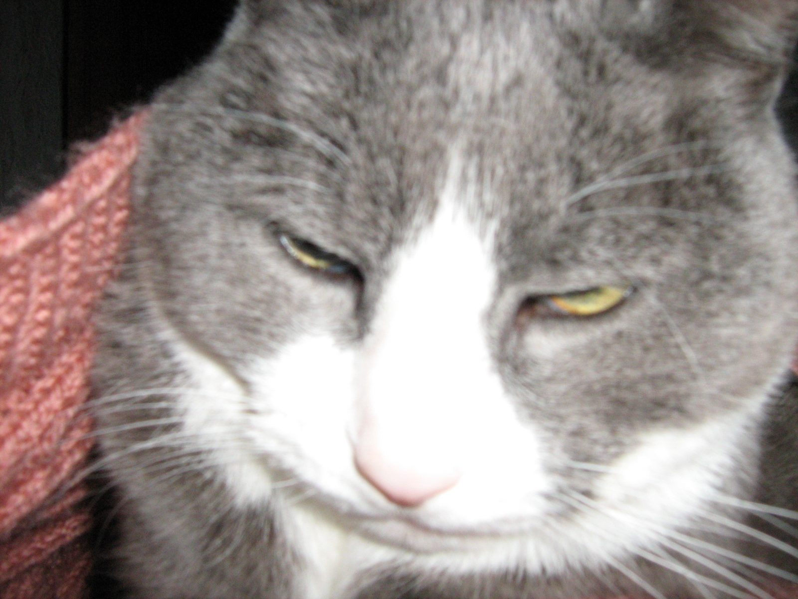 2009-01-26 - 15-47-57