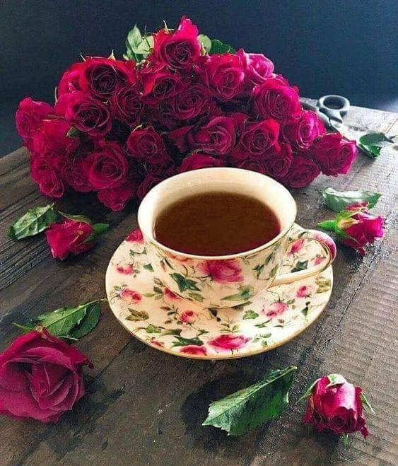 200947826_308911094288540_7689845727731453621_n