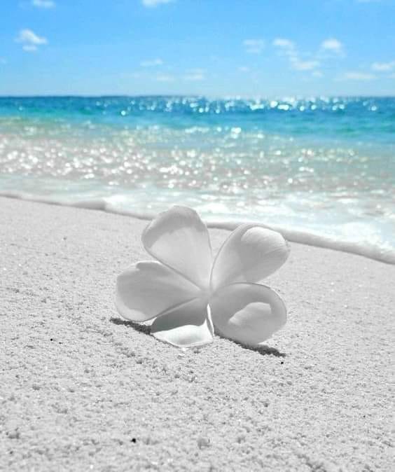 201023352_896205504295448_1558585542864457857_n