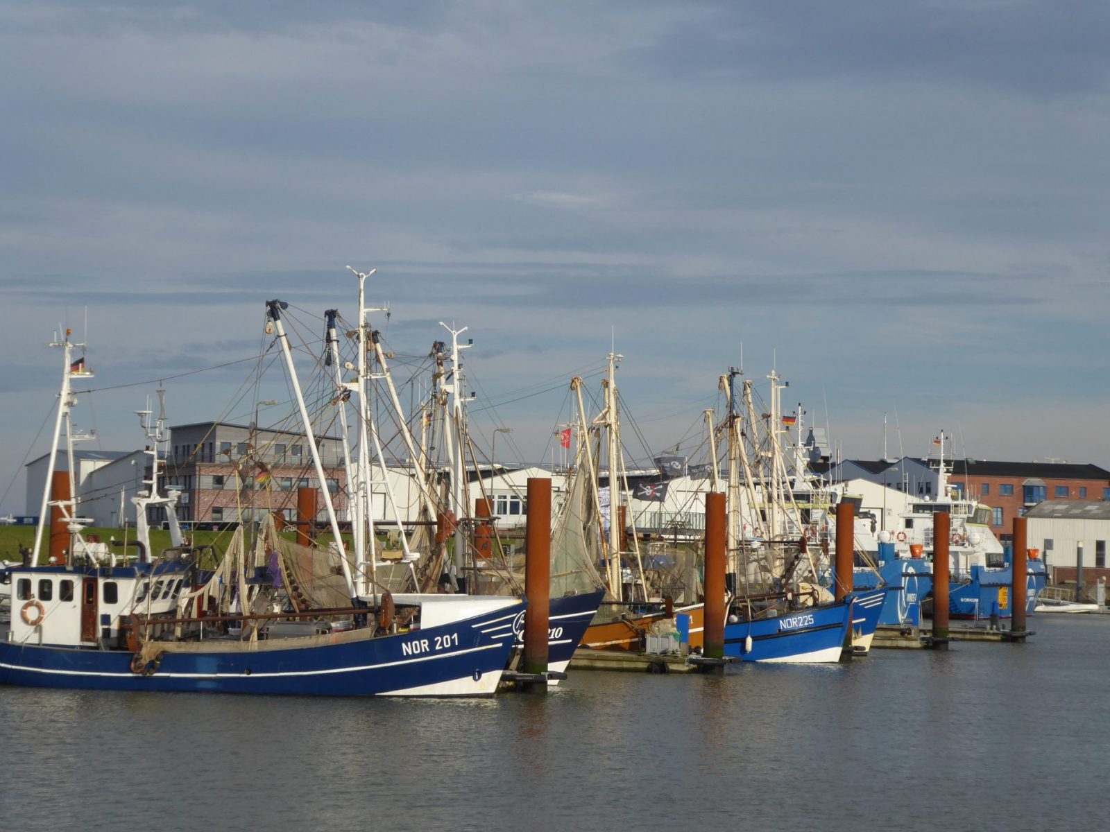 201115 norddeich (1)