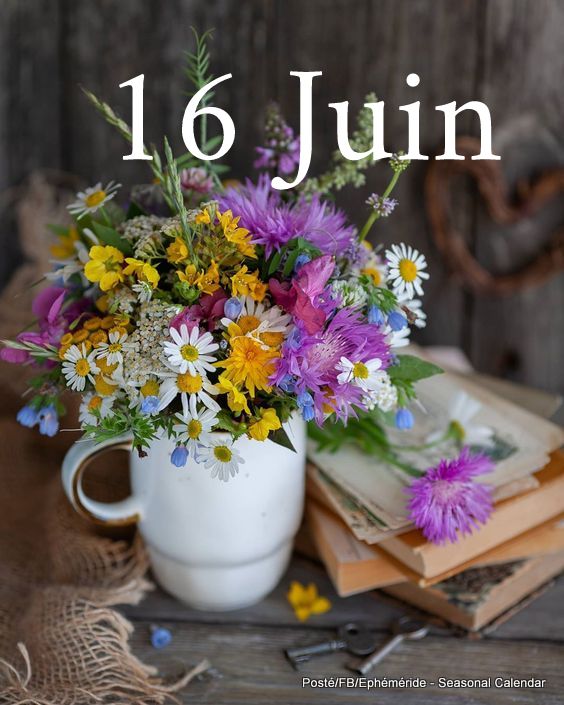 201138734_4327740897275973_7445421817927809849_n