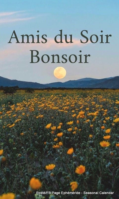 201229596_4327068304009899_8367872523907924420_n