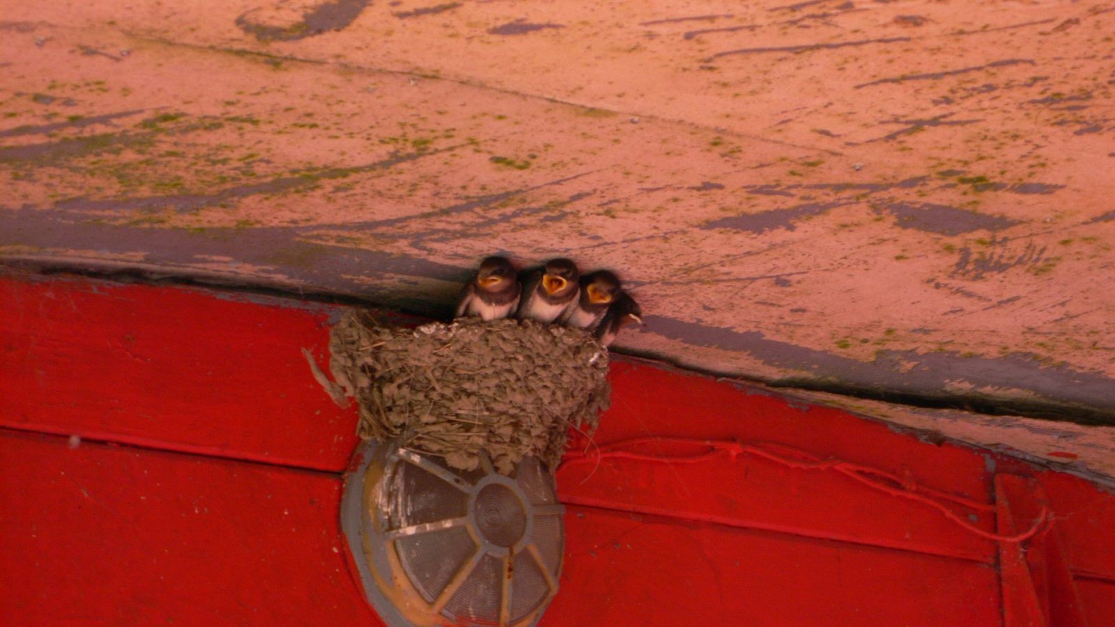 2012_Wittensee_00104