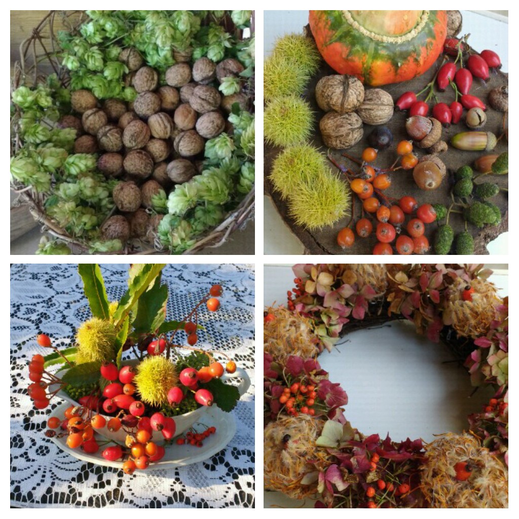 20180919_173352-COLLAGE