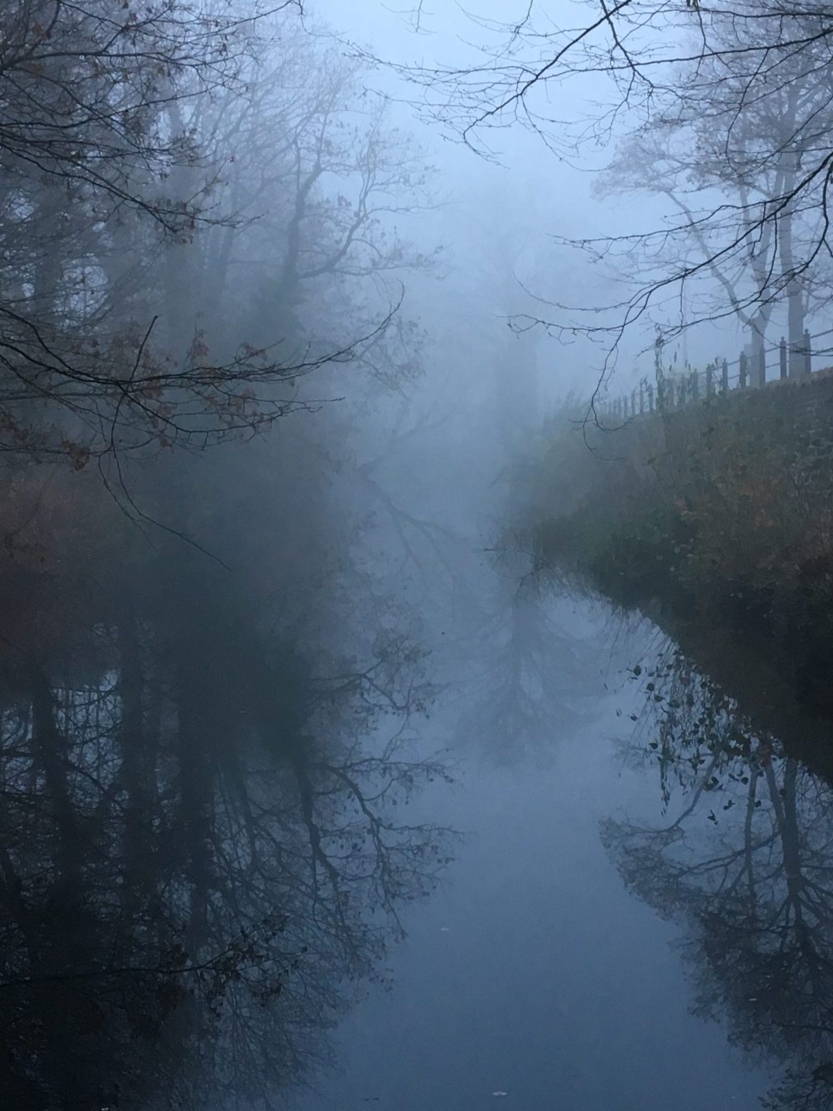 20181125_142307739_iOS