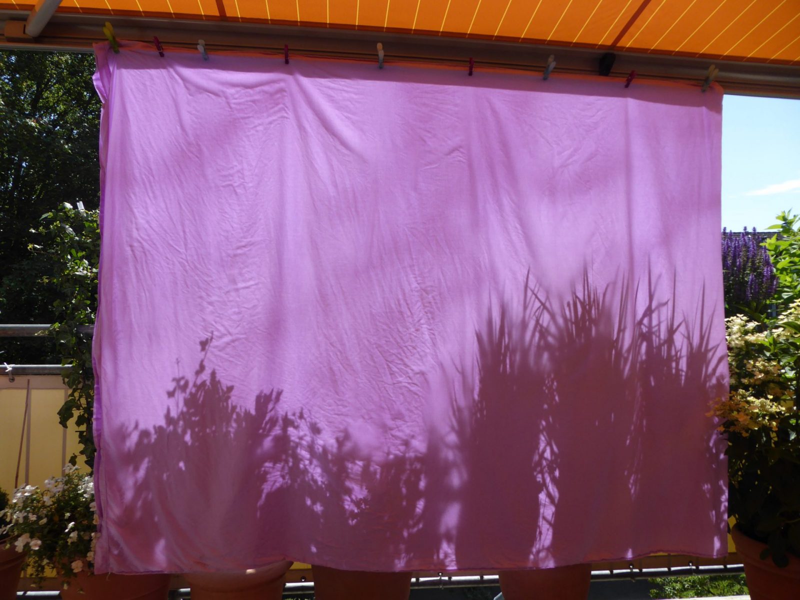 2019-06-25 Licht und Schatten