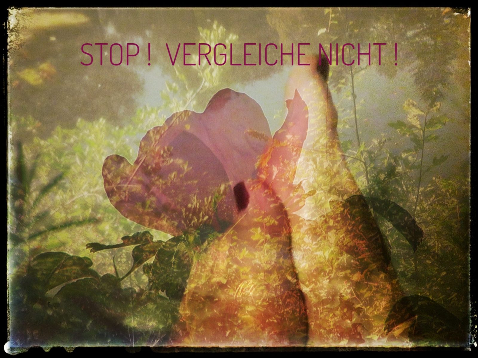 2019-08-28 STOP Vergleiche nicht!