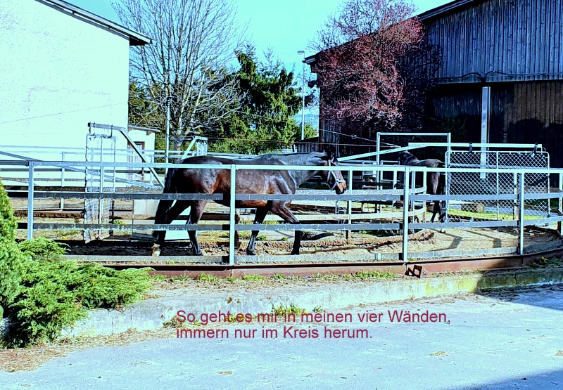 So fühle ich mich momentan in meiner Wohnung.