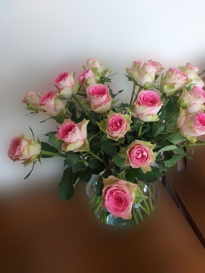 20200621_165905-fotor-2024032719385