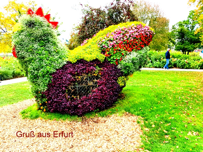 Gruß aus Erfurt