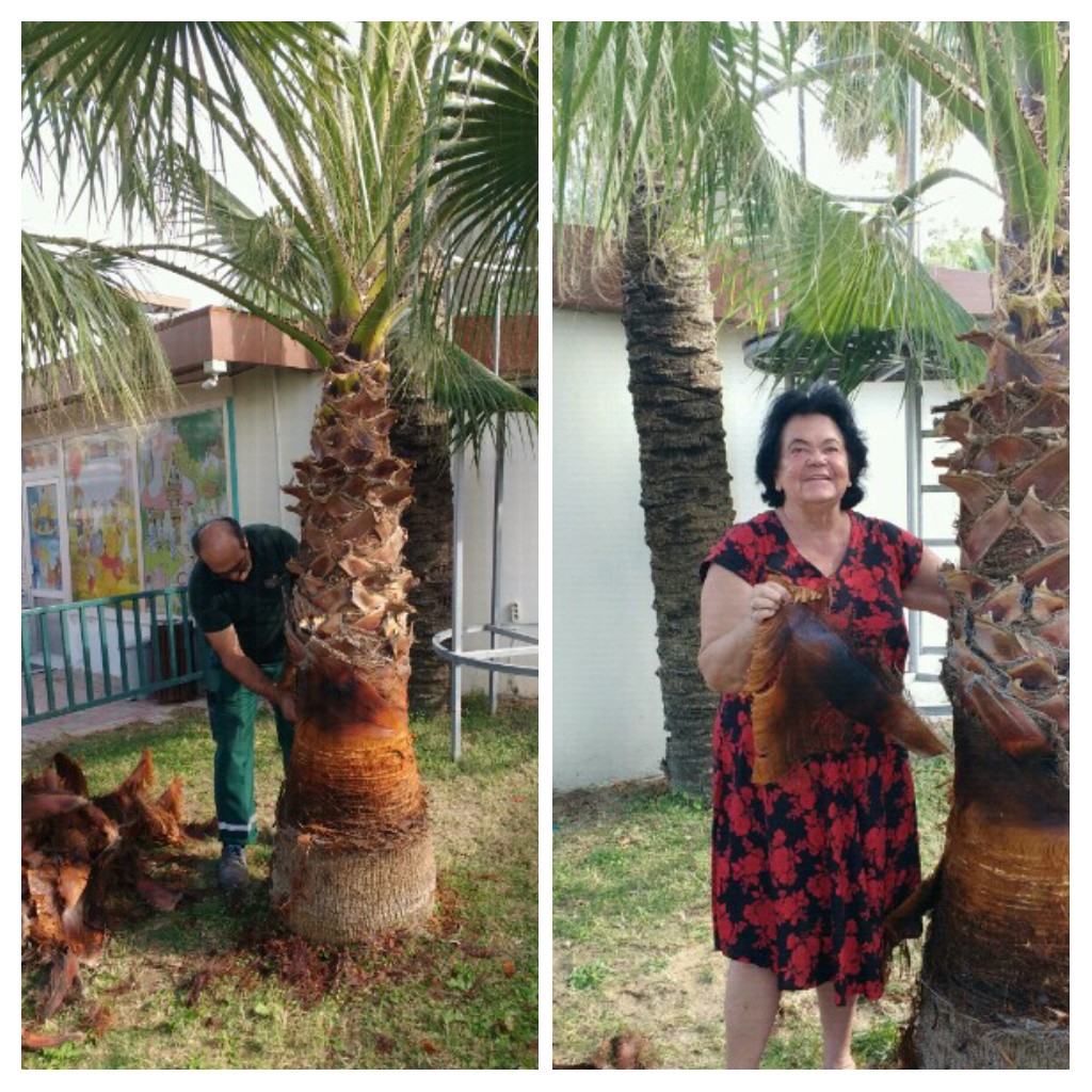 20211031_171131-COLLAGE