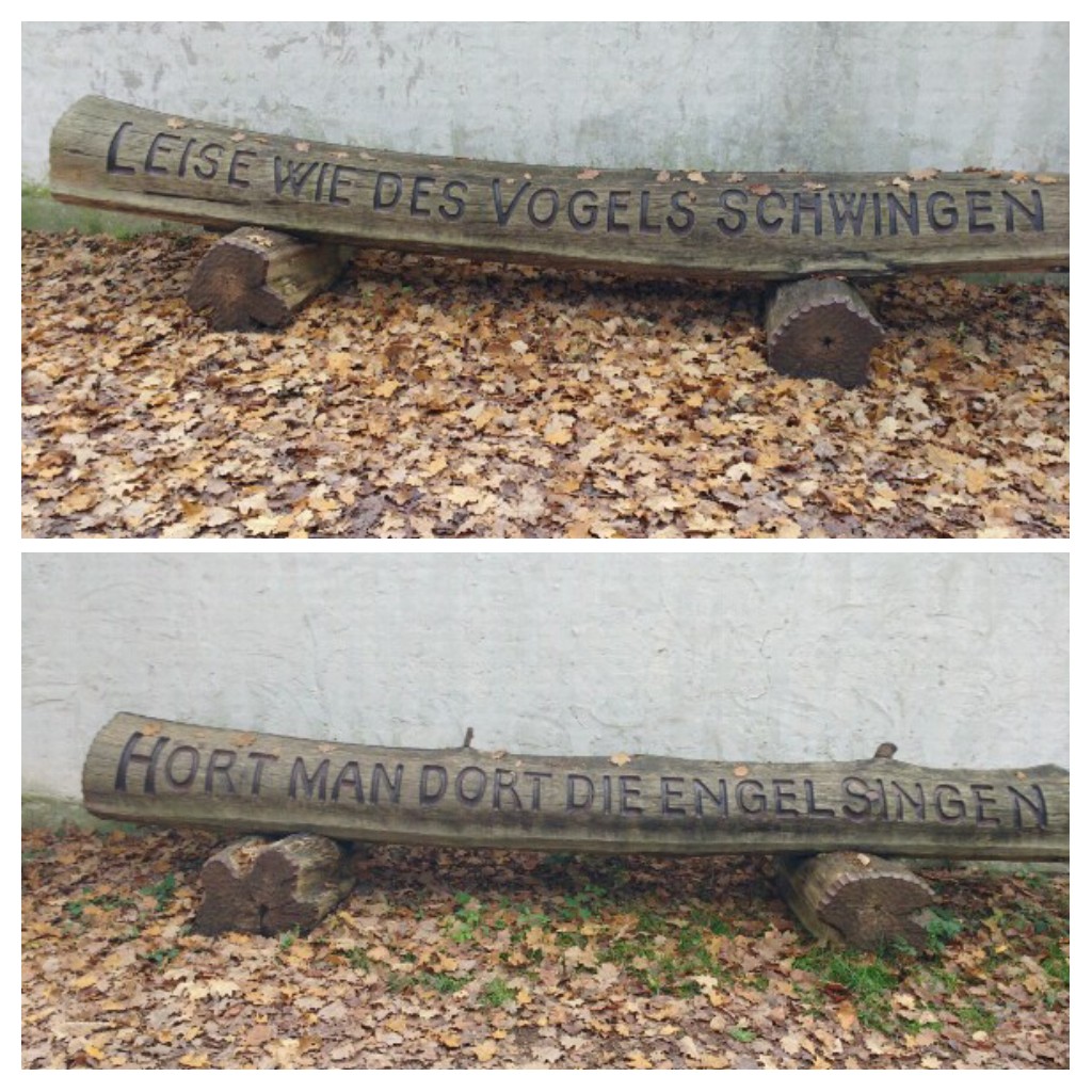 20211118_023745-COLLAGE