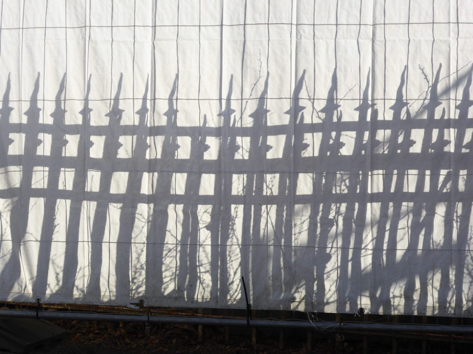 2022-03-03 FrühlingsBaustelle (2)