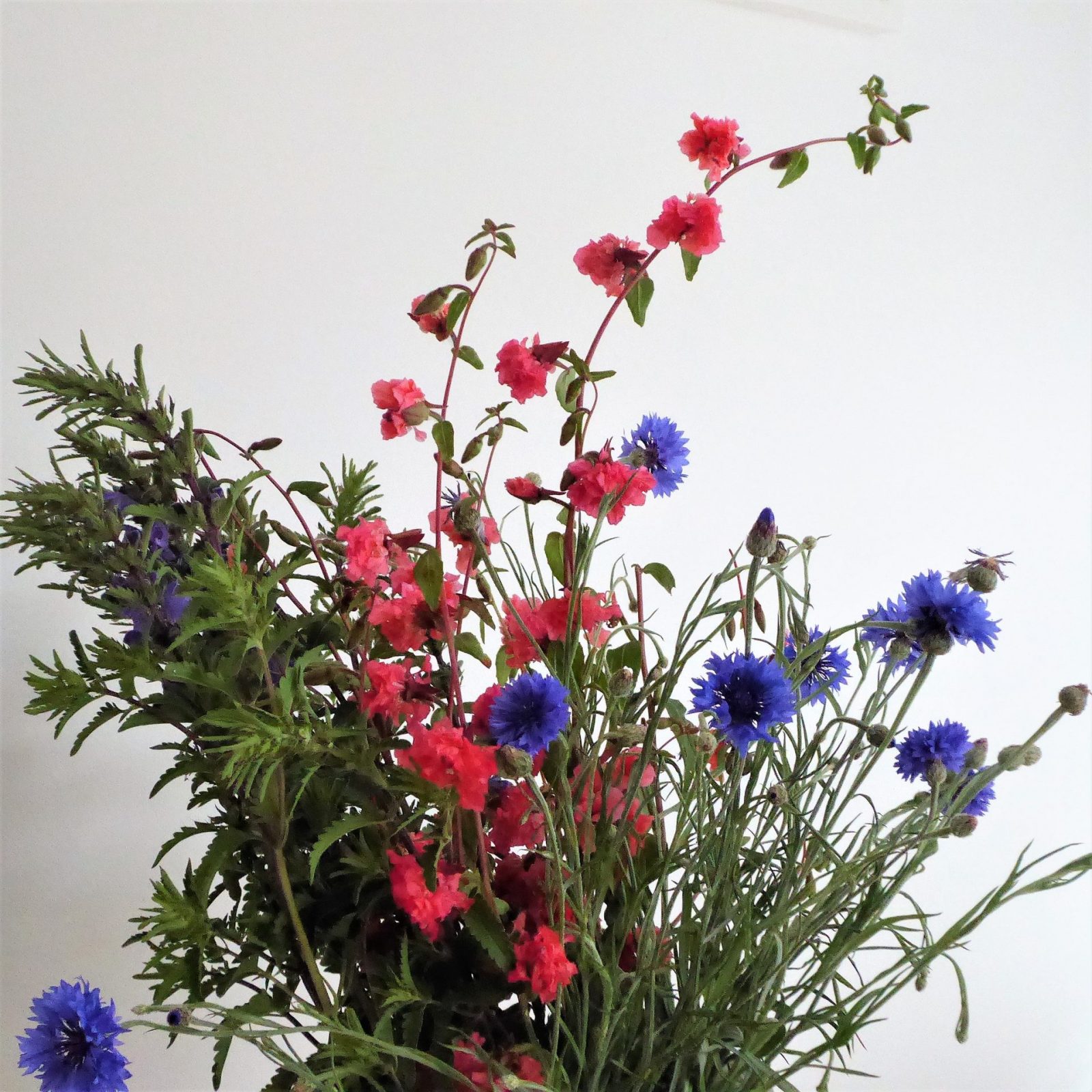 2022-07-10 blumenpflücken Wulksfelde (8)