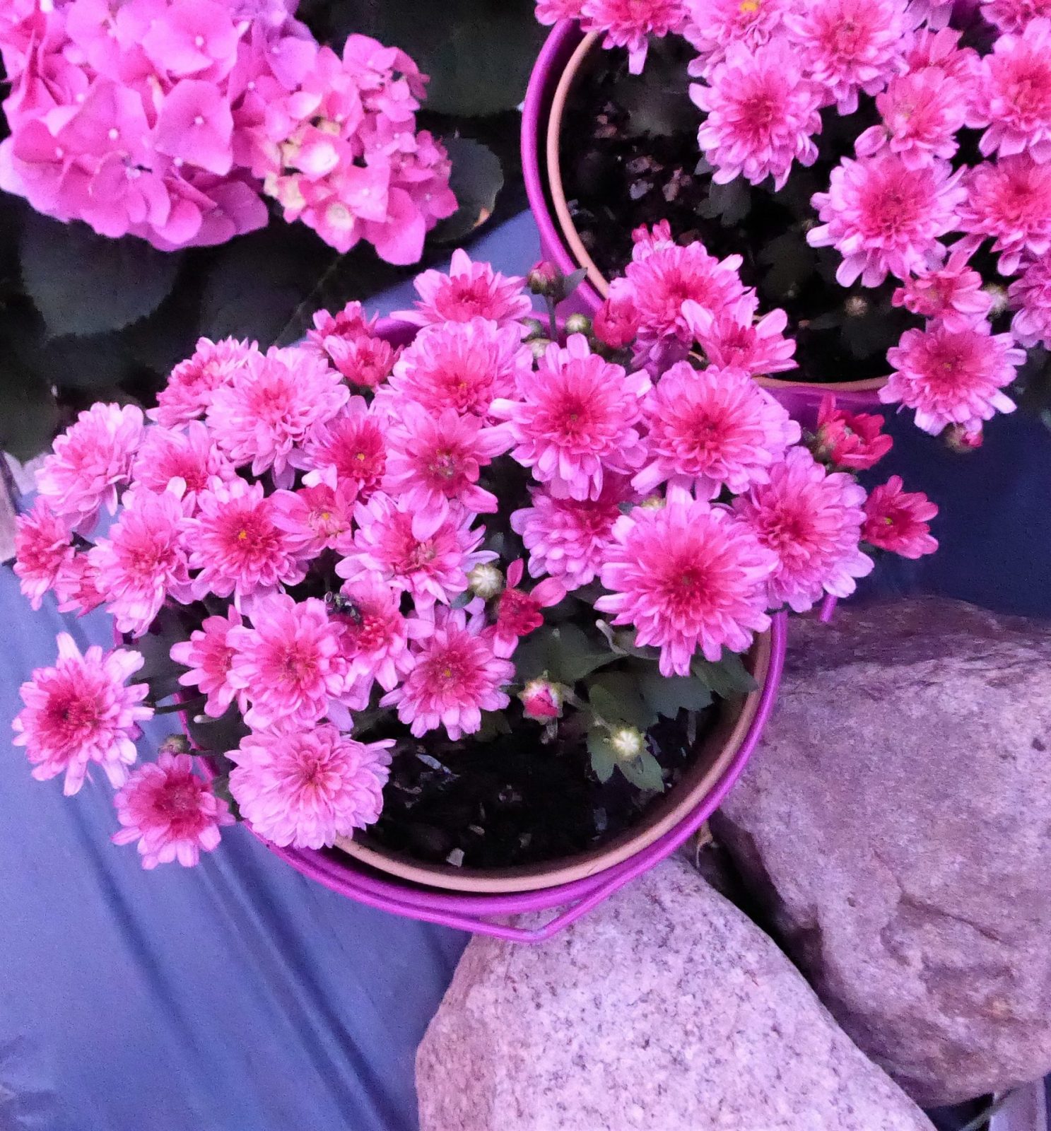 2022-07-28 ganzfrühmorgens (1)