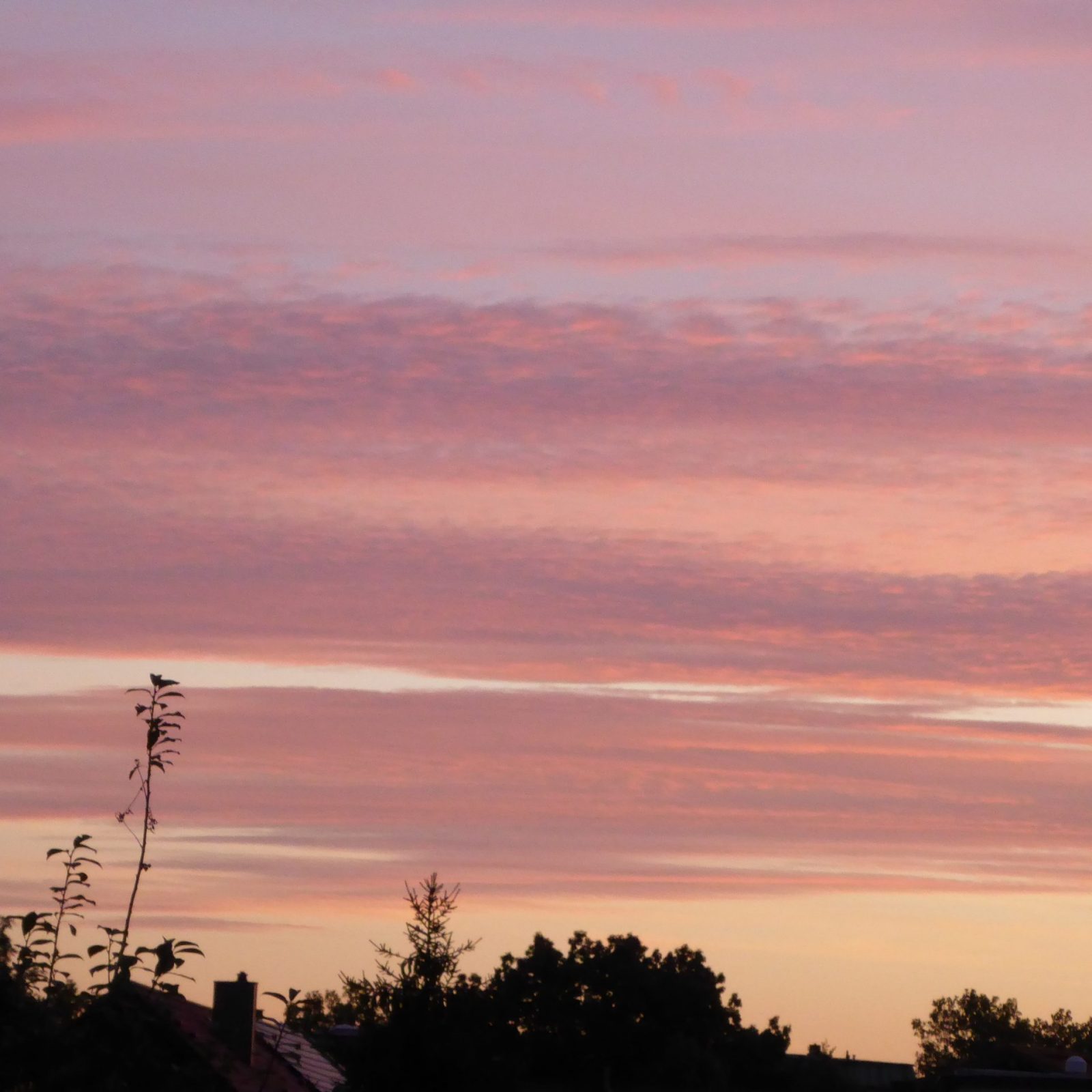 2022-07-28 ganzfrühmorgens (4)