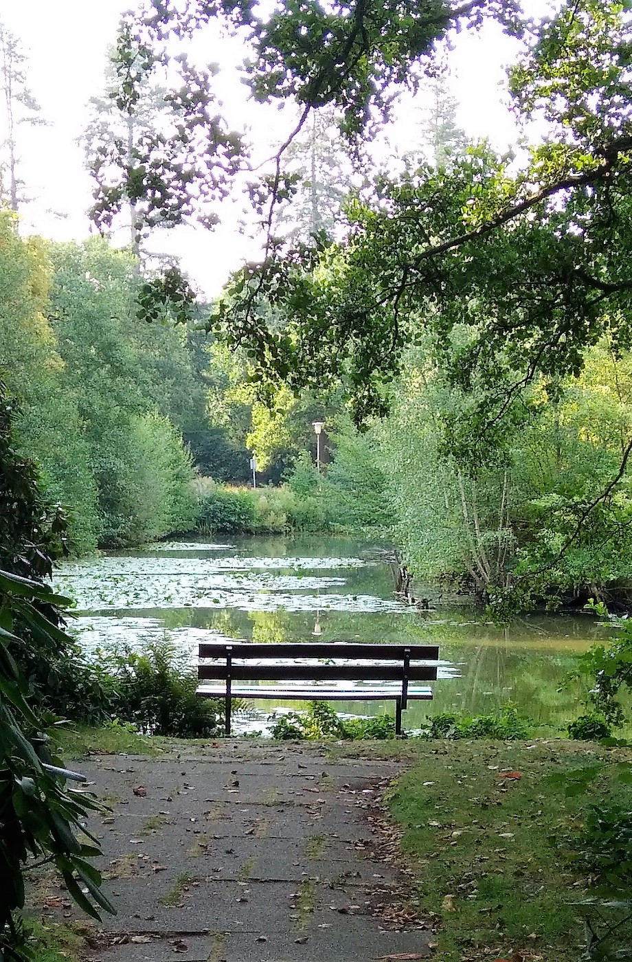 2022-08-26 Bank Ohlsdorf