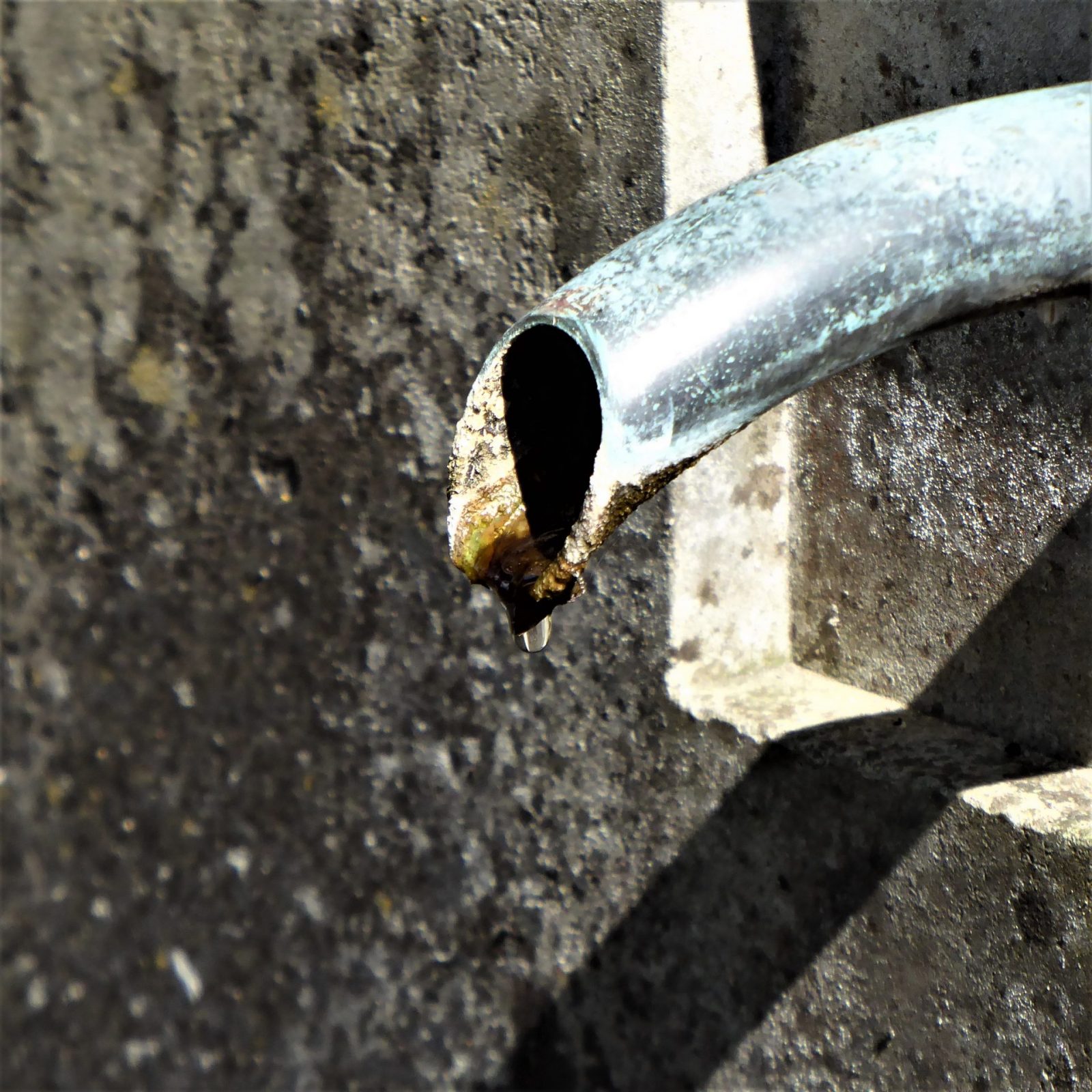 2022-08-31 Friedhof (19)