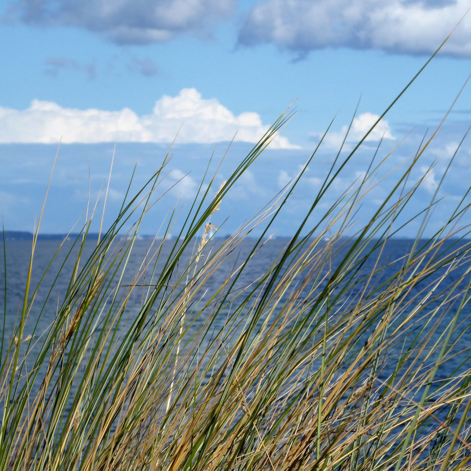 2022-09-20 Niendorf (14)