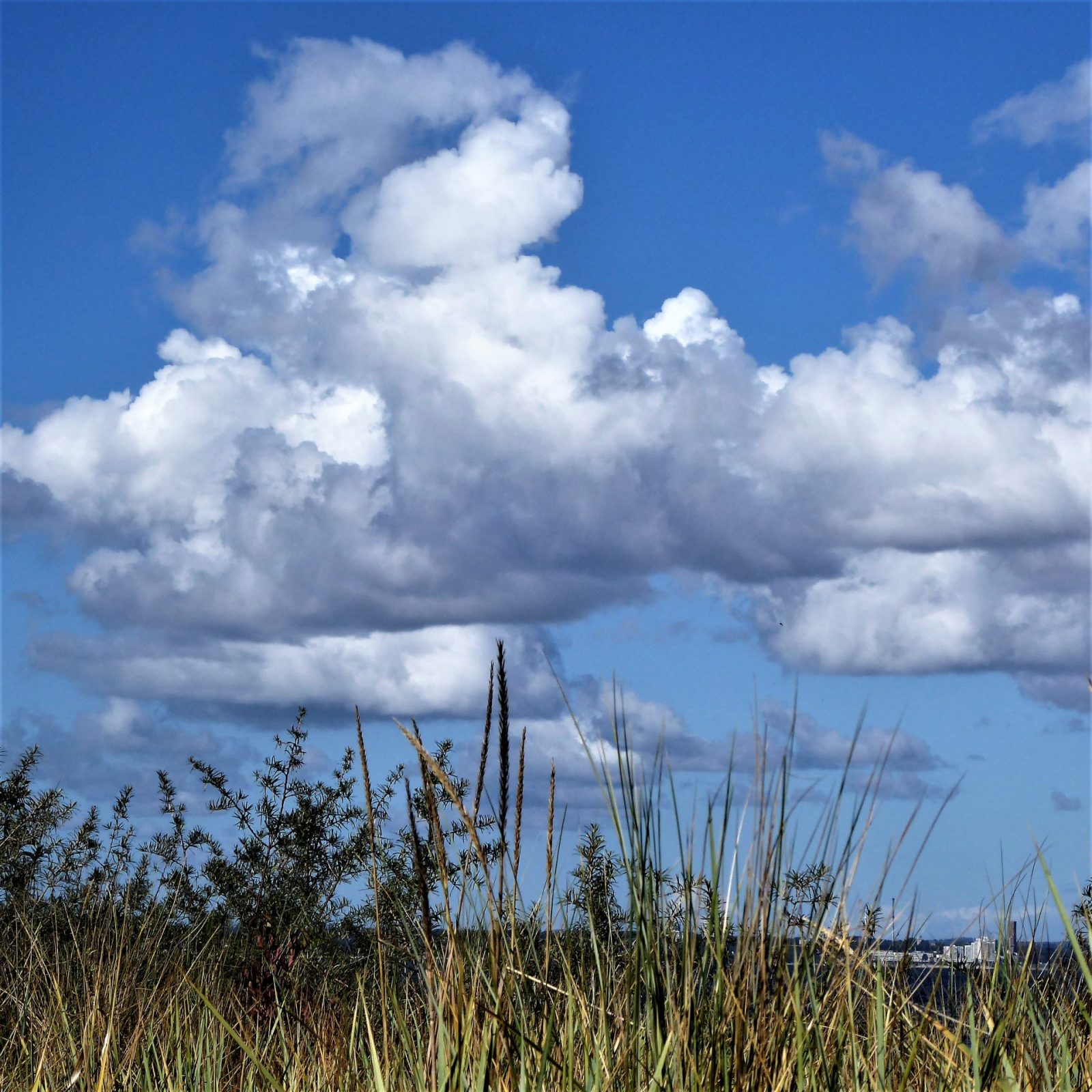 2022-09-20 Niendorf (21)